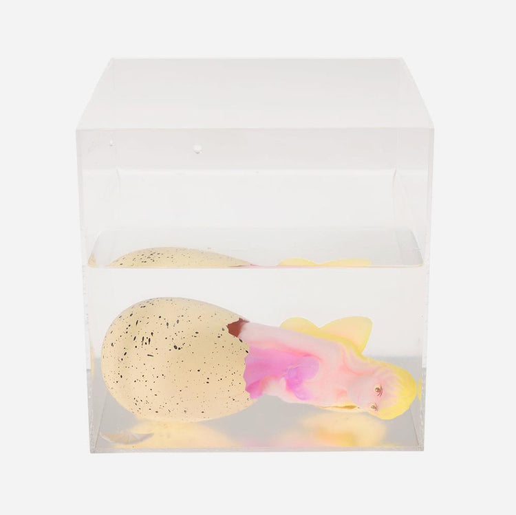 Idee cadeau anniversaire fille original : oeuf fée magique à planter