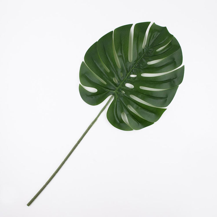 Fausse feuille monsterra verte pour deco anniversaire tropical