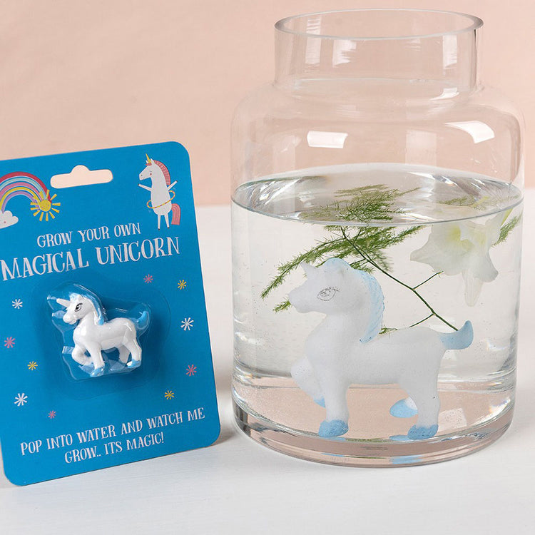 Petit cadeau anniversaire fille : un atelier licorne magique grandit dans l'eau