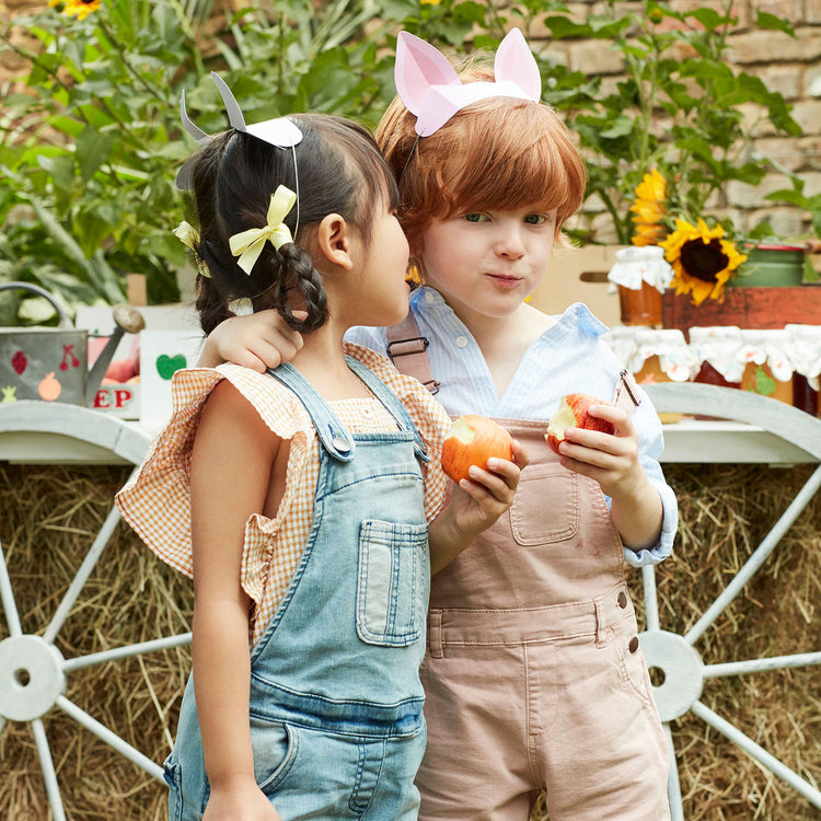 Headband oreilles d'animaux de la ferme Meri Meri pour anniversaire enfant