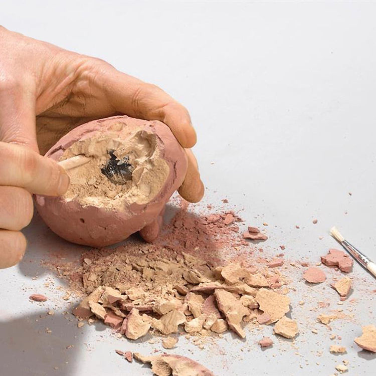 Activité enfant dinosaure : oeuf à gratter avec dinosaure inclus