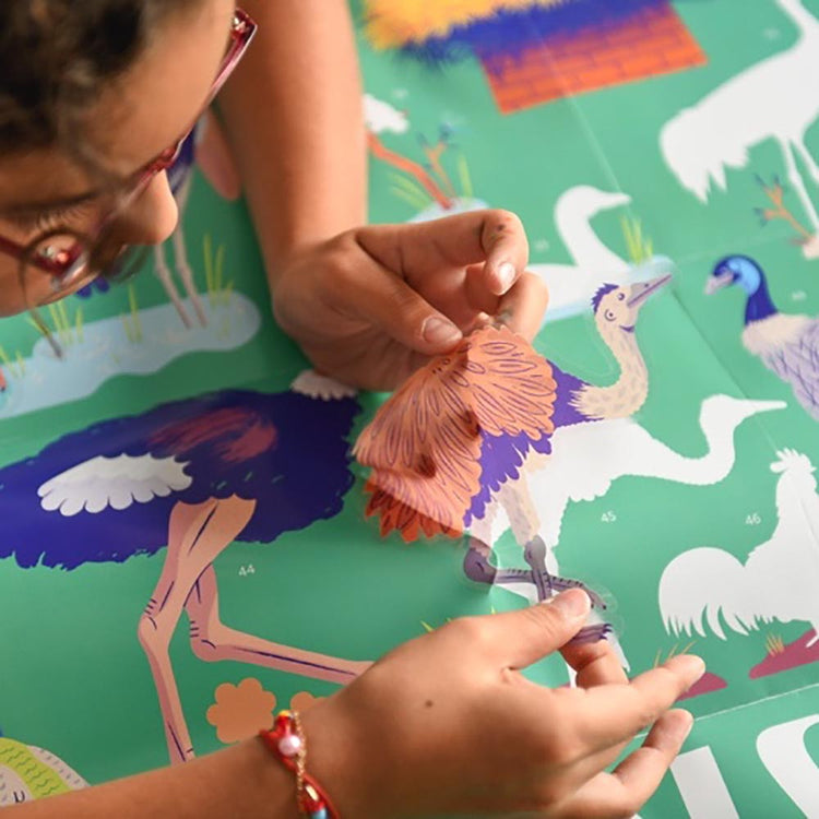 Poster pedagogique et stickers theme oiseaux pour cadeau anniversaire