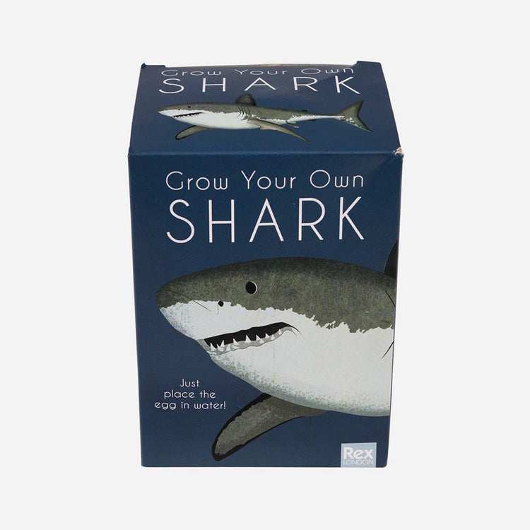 Oeuf requin magique à planter : cadeau d'anniversaire garcon