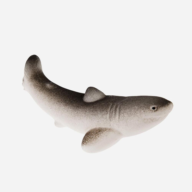 Oeuf requin magique à planter : cadeau anniversaire enfant original