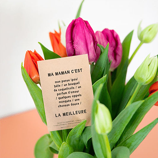Cadeau fête des mères : sachet de graine à planter avec message