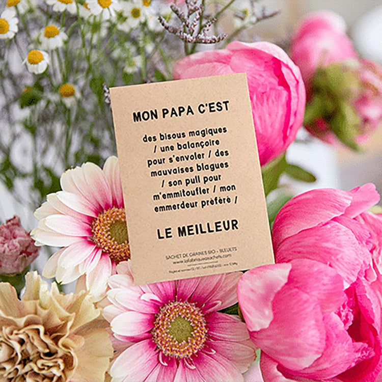 Cadeau fête des pères : sachet de graine à planter avec message