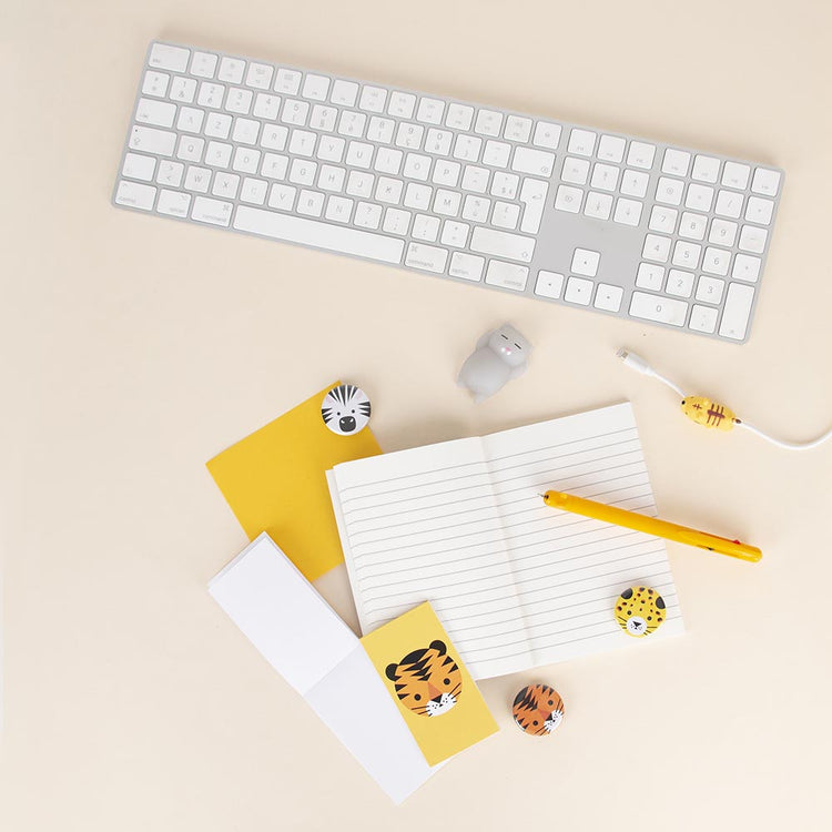 Sélection de goodies félin pour pochette surprise ou calendrier de l'avent