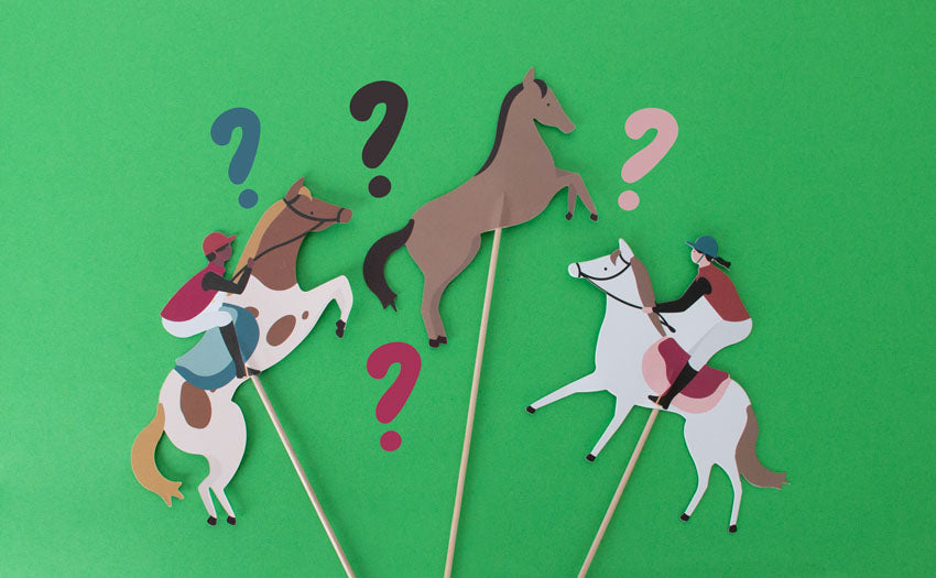 Kit DIY Fer à Cheval En Bois - 37 Pièces Pour Décoration Anniversaire, Peinture, Bricolage Enfant