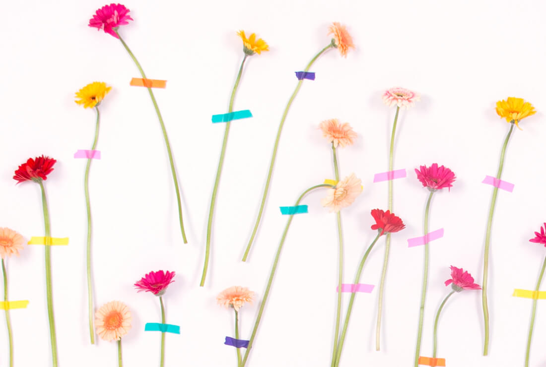 Anniversaire theme fleurs : decoration mur de fleurs