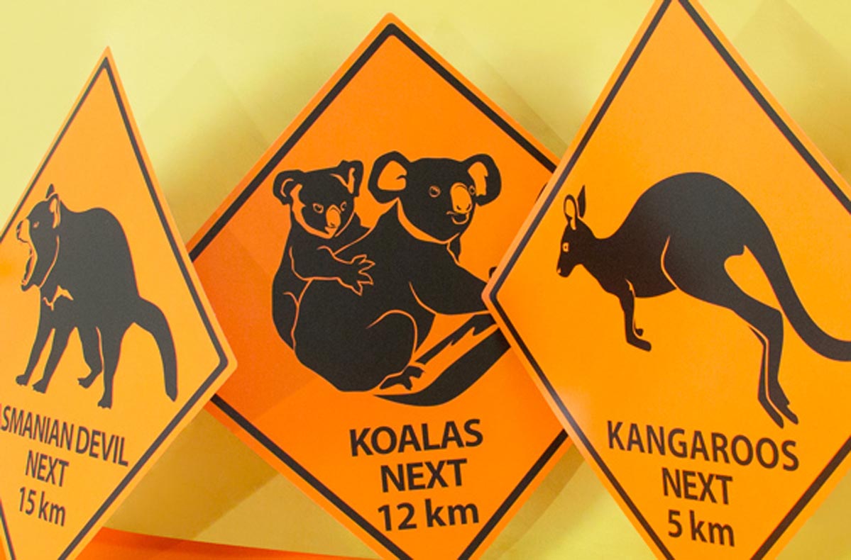 Pour fêter un prochain voyage ou pour les fans de kangourous, on mise sur une ambiance de soirée Australie pour un dépaysement assuré !