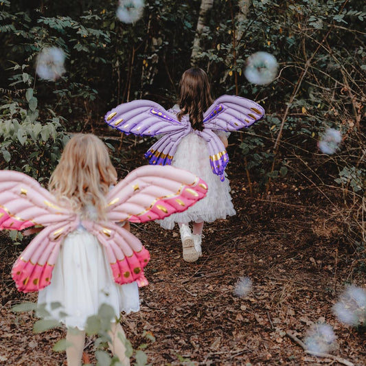 Ailes de fée mauves à gonfler pour une fête 