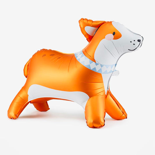 Ballon chien : corgi idéale pour une décoration d'anniversaire