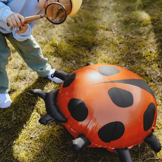 Ballon coccinelle amusant pour fête d’été