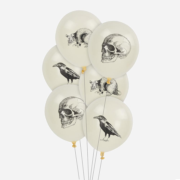 Ballons de baudruche : 6 ballons cabinet de curiosités