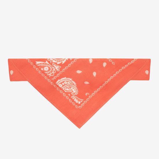Bandana cowboy, déguisement enfant western