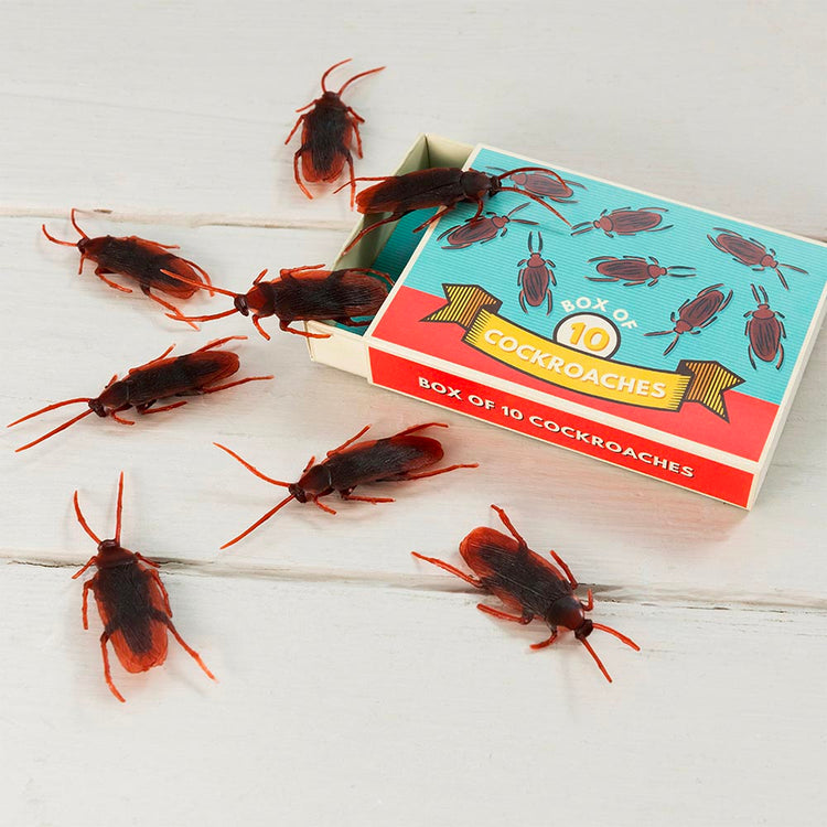 Boite de 10 cafards pour anniversaire insectes