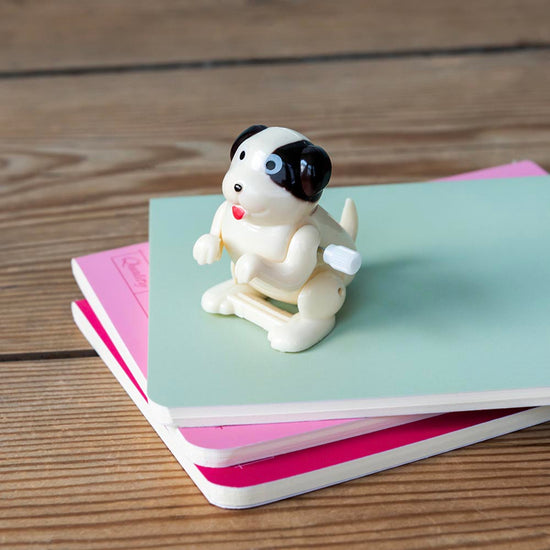 Petit chien sauteur : cadeau pochette surprise anniversaire chien ou calendrier de l'avent 