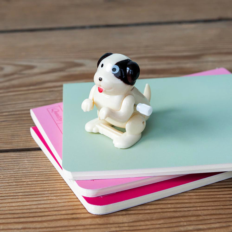 Petit chien sauteur : cadeau pochette surprise anniversaire chien ou calendrier de l'avent 