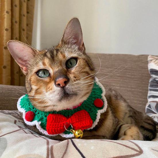 Collier de Noël en crochet pour chat : vetement noel chat mignon