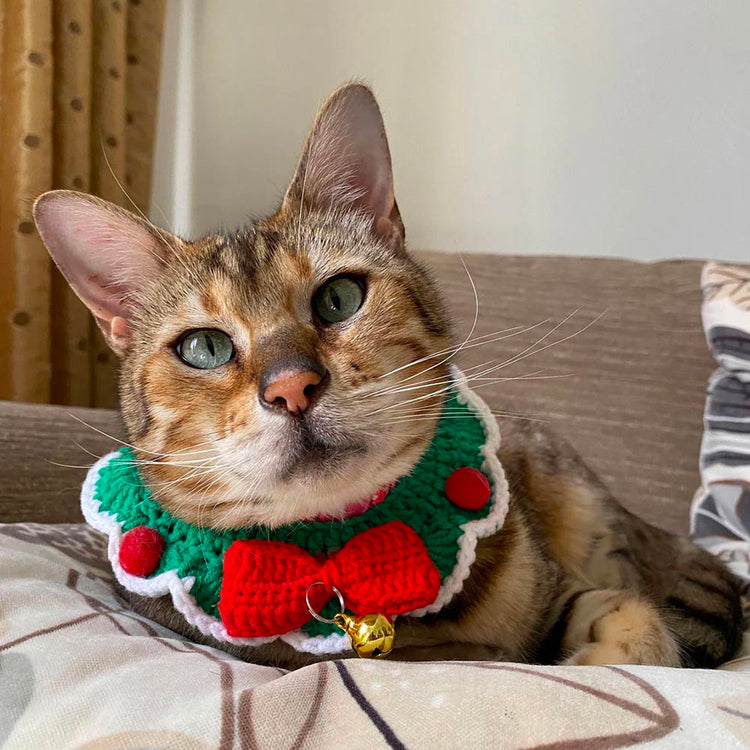Snow White Yarn Crochet Cat Collar, Cat Necklace - Blue