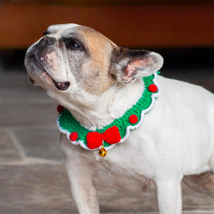 Collier de Noël en crochet pour chien : accessoire noel chien original