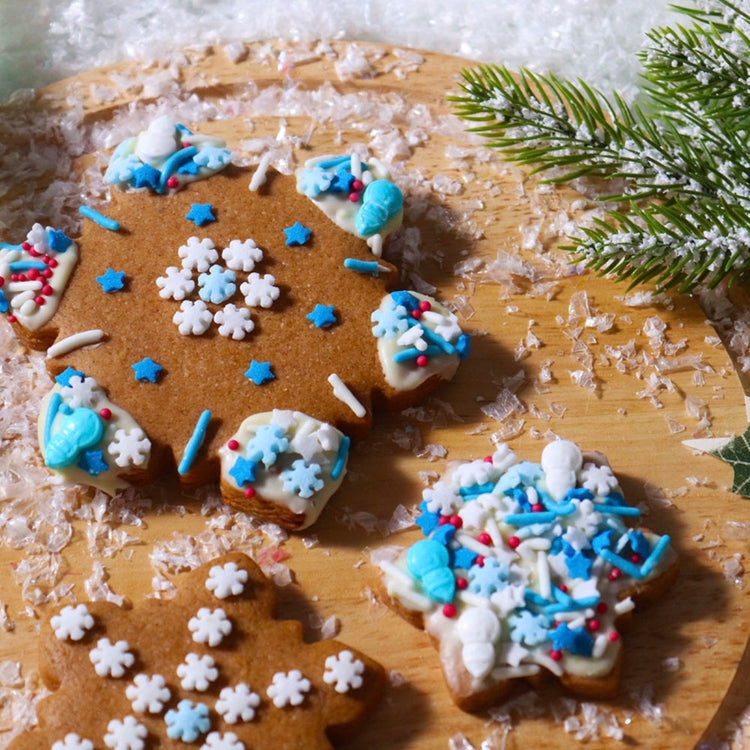 Petits décors en sucre thème Reine des neiges 