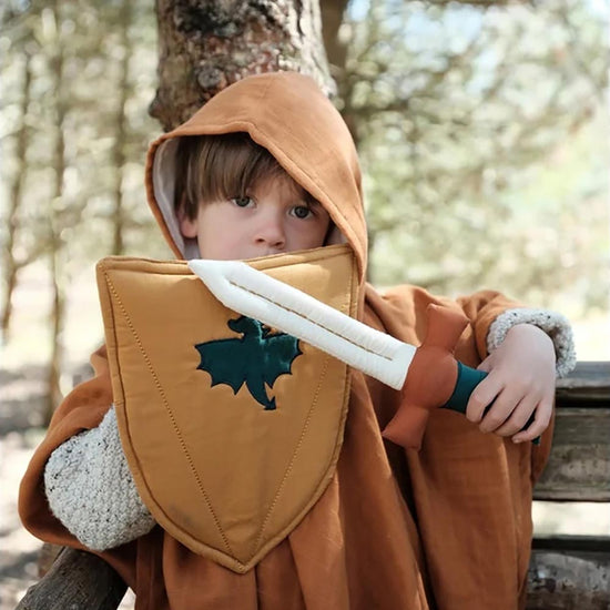 Bouclier et épée de chevalier : accessoire deguisement enfant