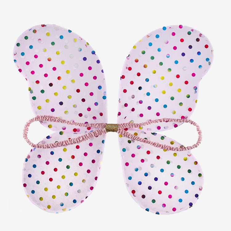 Ailes de fée multicolores : idée cadeau noel ou cadeau anniversaire fée