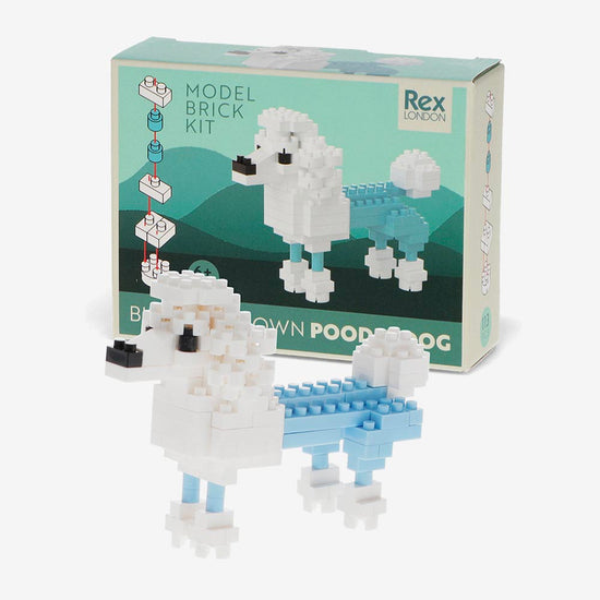 Kit de construction en briques caniche : idée cadeau anniversaire enfant