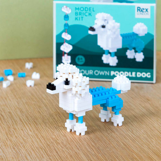 Kit de construction en briques caniche : idée pochette surprise anniversaire enfant