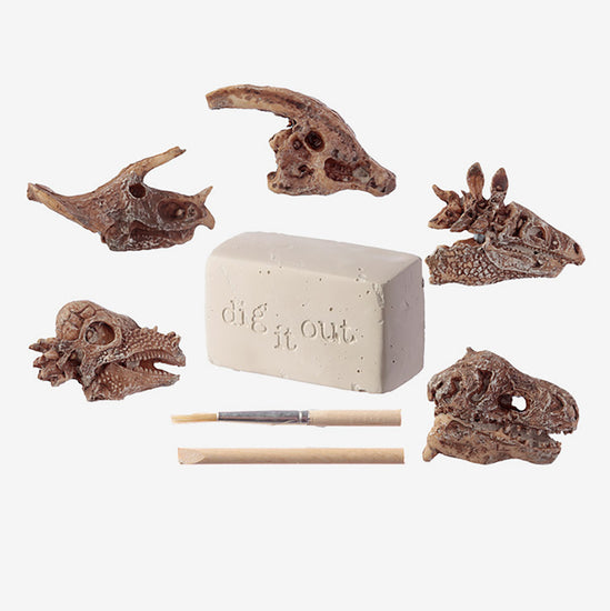 Kit de fouille crâne de dinosaure - Idée cadeau thème dinosaure