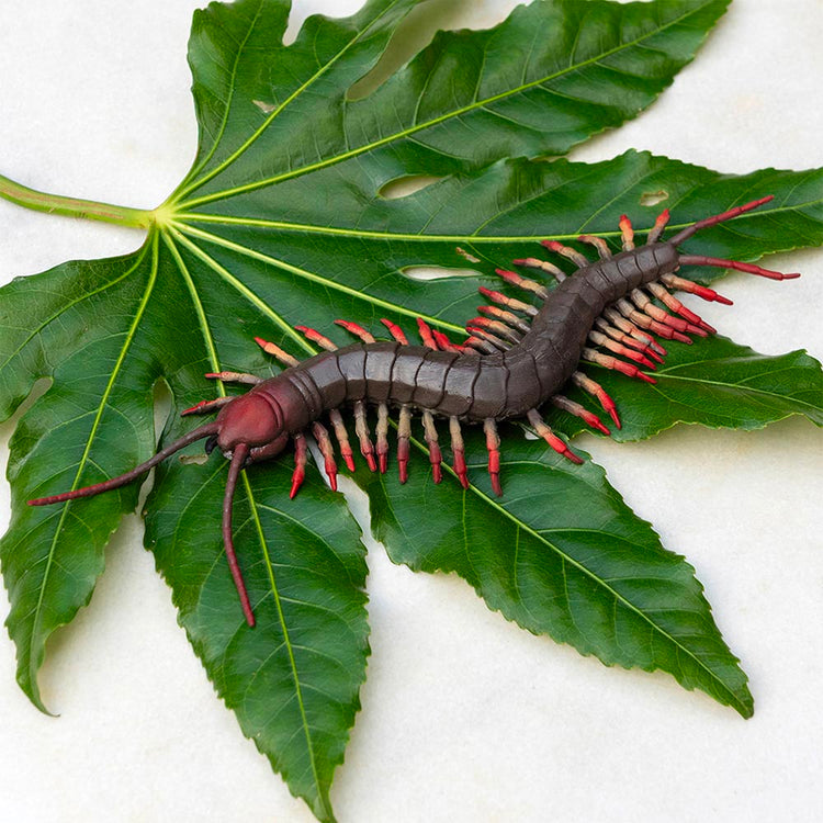 Mille-pattes pour décoration d'halloween