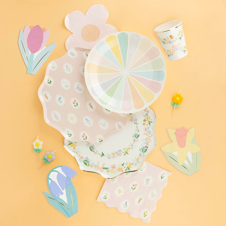 Paper plate: 8 pastel plates