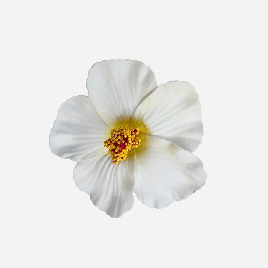 1 pince fleur hawaïenne blanche : idee cadeau anniversaire adulte