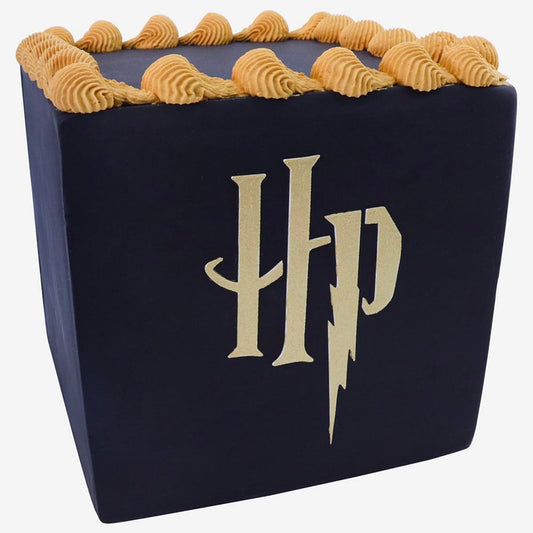 Gateau d'anniversaire Harry Potter réalisé avec un pochoir