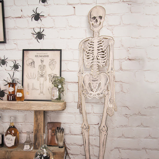 Décoration Halloween : grand squelette articulé 1,35 m