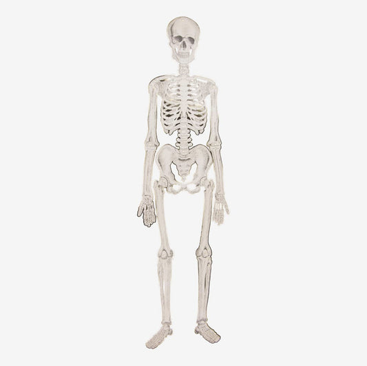Grand squelette articulé pour decoration Halloween originale