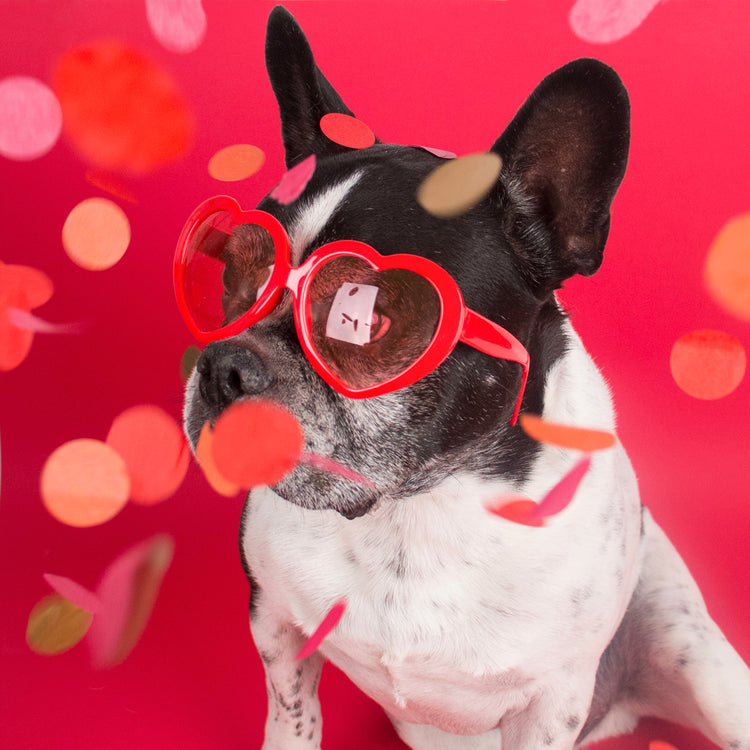 The dog and his red heart glasses costume accessory for lovers