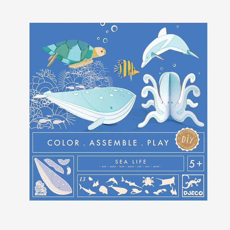 Actividad de coloración marina y collage para niños a partir de 5 años