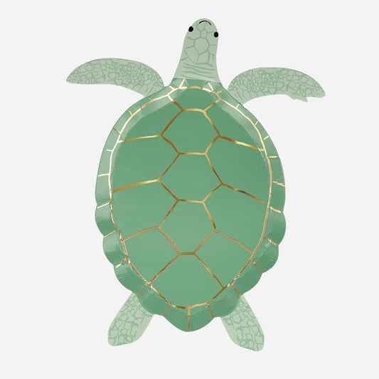 Assiettes en carton tortue : deco de table anniversaire animaux marins