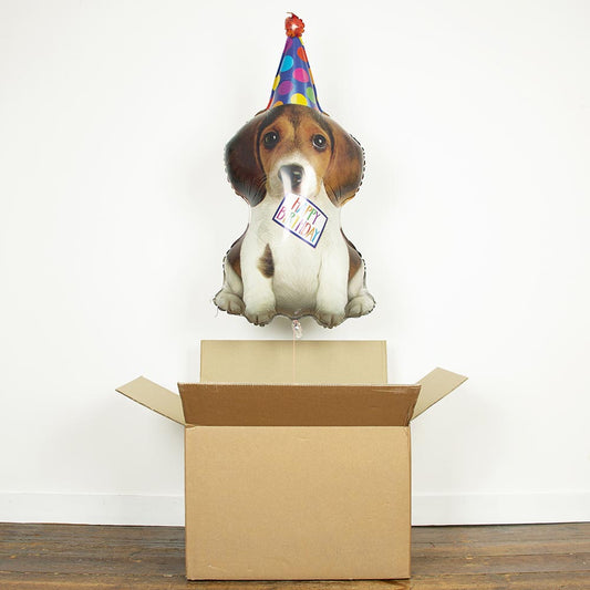 Déco anniversaire chien et chat : ballon hélium chiot mignon pour anniversaire