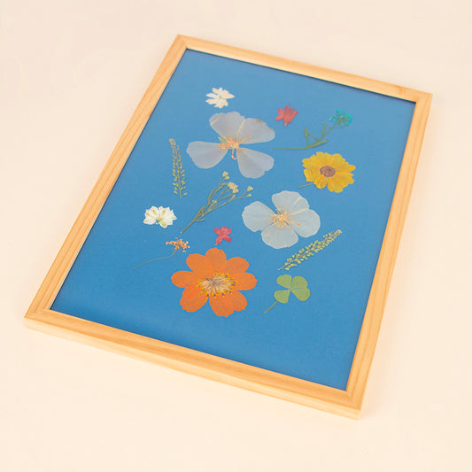 Tableau fleurs séchées pressées sur fond bleu