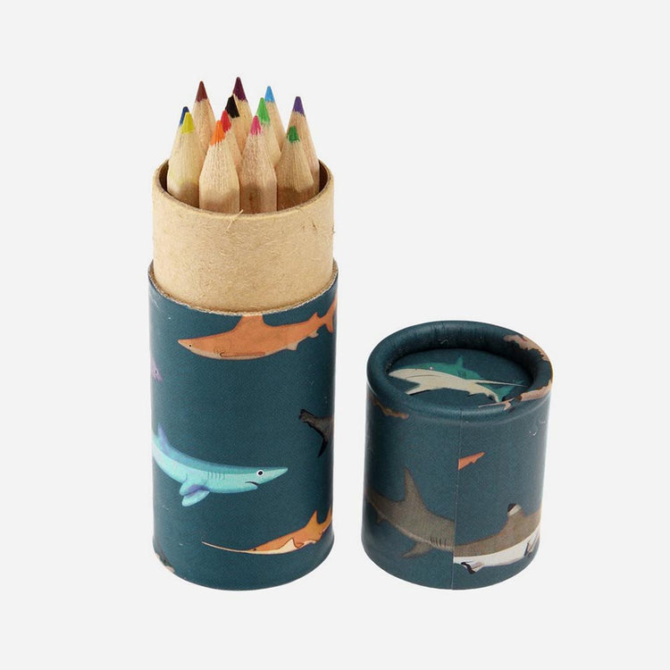 Accessoires loisirs créatifs pour enfant : crayons animaux marins