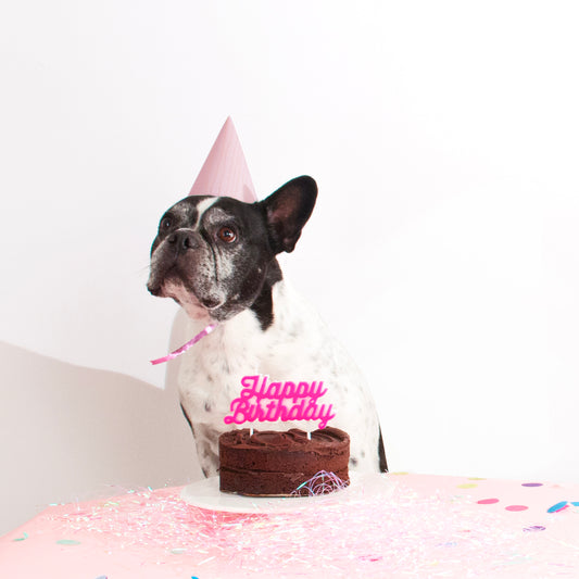 Vela de feliz cumpleaños rosa neón para decoración de pastel de cumpleaños adolescente.