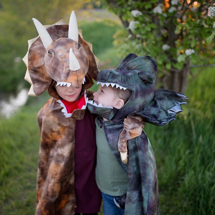 Déguisements enfant dinosaure : idée anniversaire et déguisement halloween