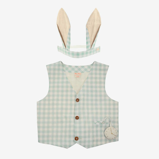 Idea costume da bambino pasquale con orecchie da coniglio e giacca a quadretti