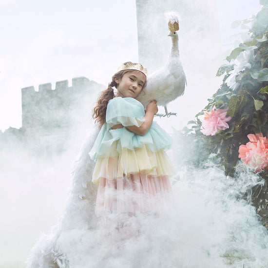 My Little Day :  déguisement en tulle princesse arc en ciel anniversaire fille
