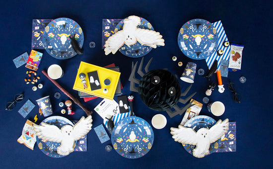 Decoration fete enfant Harry Potter : kit anniversaire sorcier