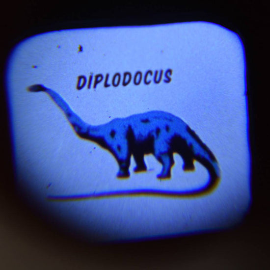 1 badge dinosaure my little day : idée petit cadeau anniversaire