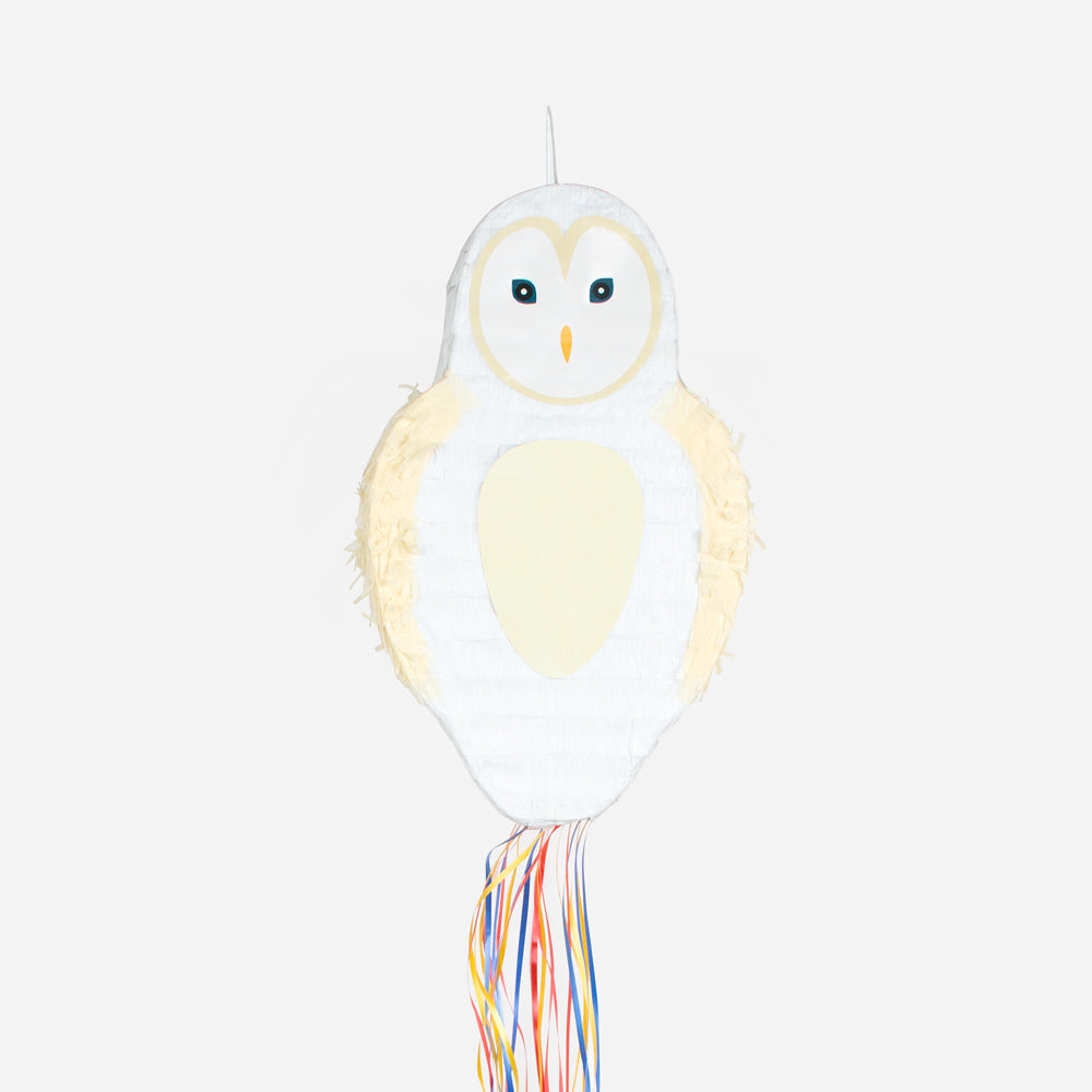 Owl pinata: original Harry Potter themed birthday activity